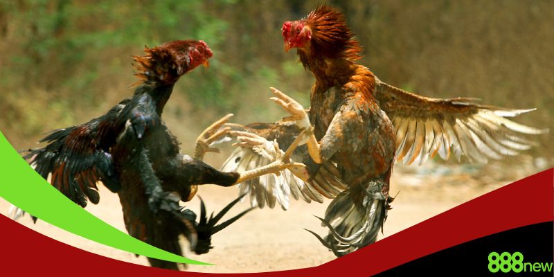 Trách mắc phải các sai lầm phổ biến